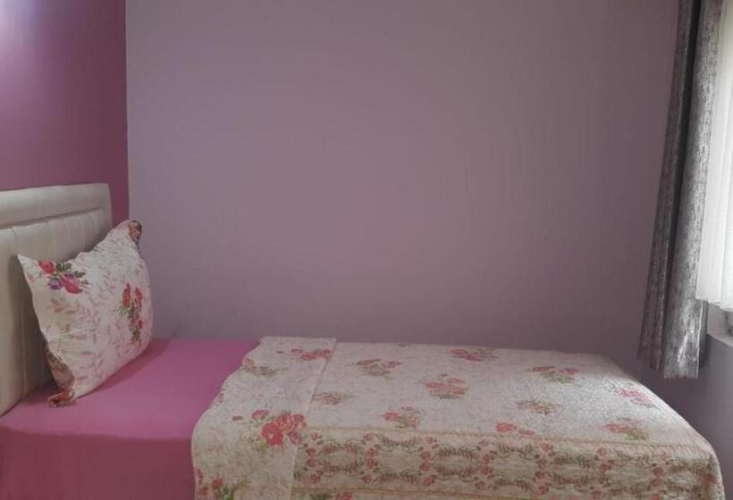 اتاق خانوادگی, Samlife Apart