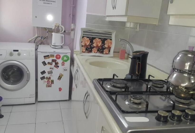 اتاق خانوادگی, Samlife Apart