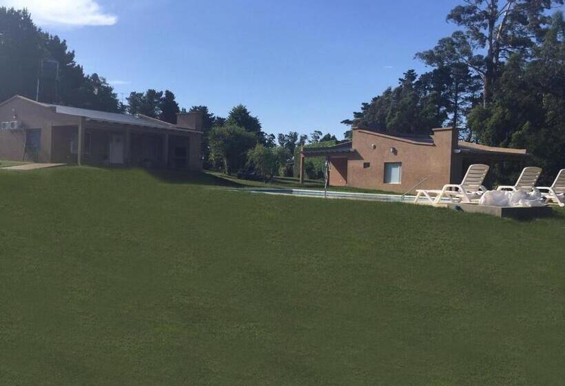 스탠다드 방갈로, Aire Serrano