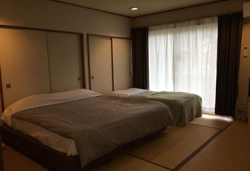 Номер Стандарт, Ikoi