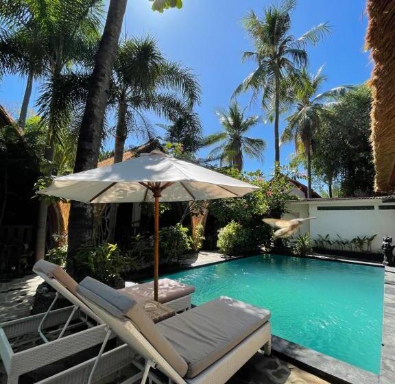 スタンダードバンガロー, Zipp Bar Restaurant & Bungalows