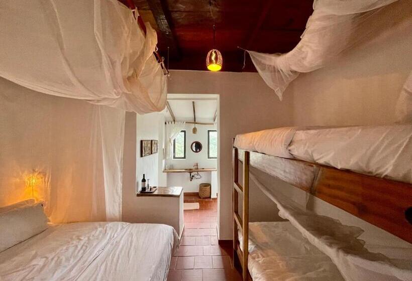 Номер Стандарт, Mundo Nuevo Eco Lodge