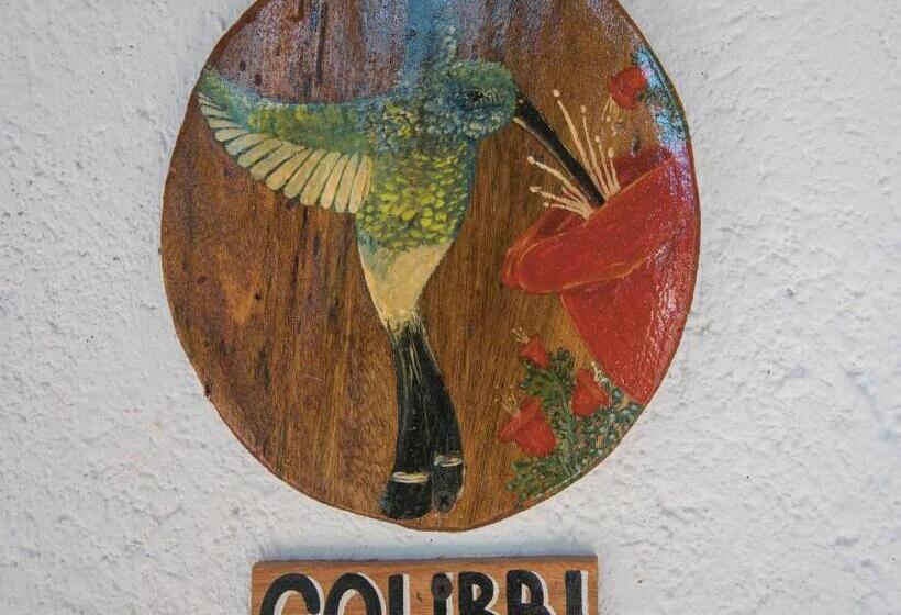 Номер Стандарт Вид на Сад, Mundo Nuevo Eco Lodge