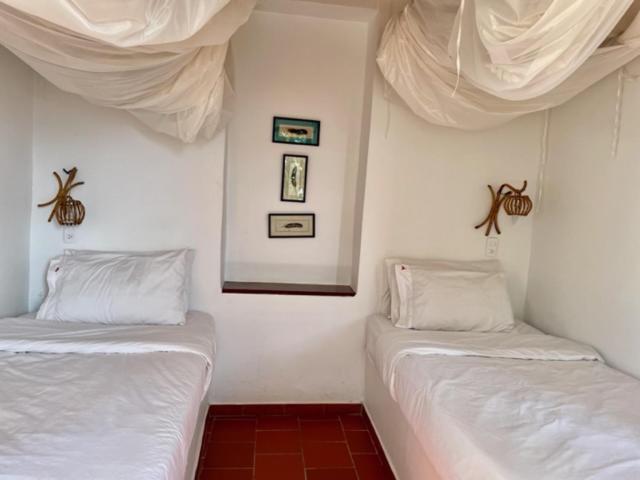 Номер Стандартный с Видом, Mundo Nuevo Eco Lodge