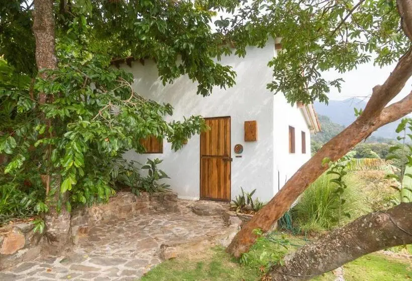 Executive-sviitti, Mundo Nuevo Eco Lodge
