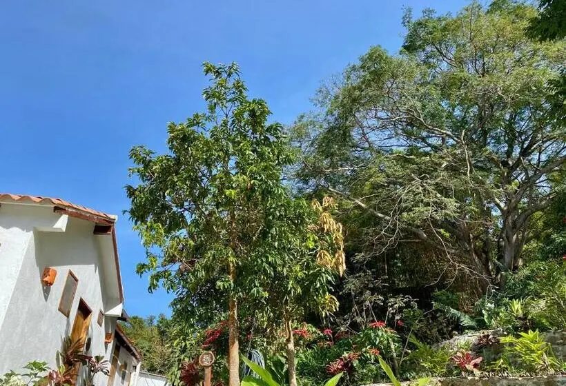 Superior-perhehuone, Mundo Nuevo Eco Lodge
