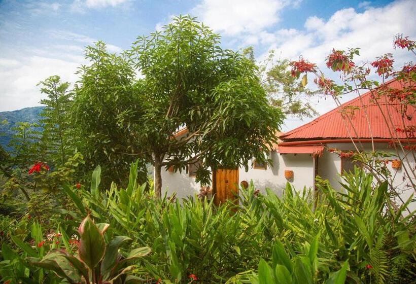 Семейный Номер Superior, Mundo Nuevo Eco Lodge