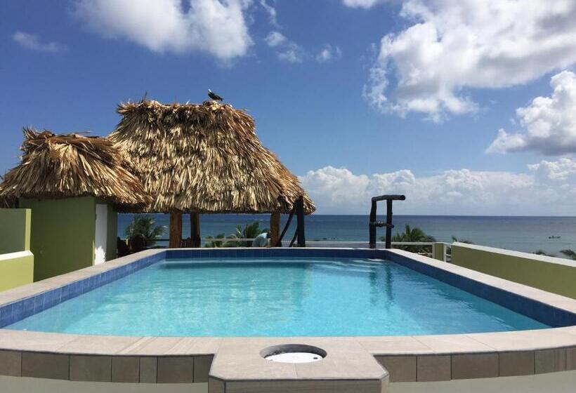 침실 1개 아파트, Casa Del Rai