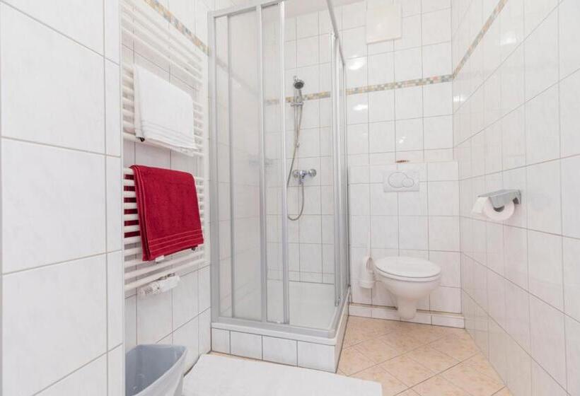 شقة غرفة واحدة ذات إطلالة, Haus Roswitha