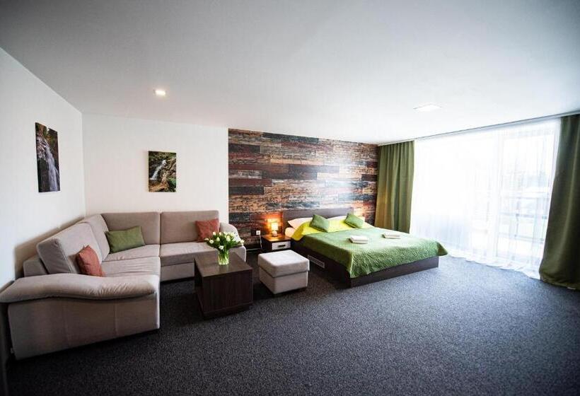 1ベッドルームのデラックスアパートメント, Wellness Penzión Ferrata