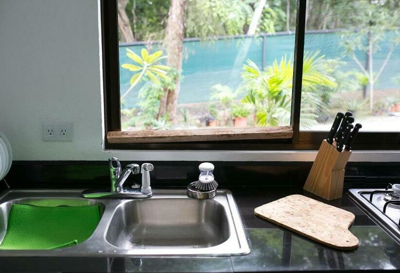 침실 1개 디럭스 아파트, Tamarindo Sunshine