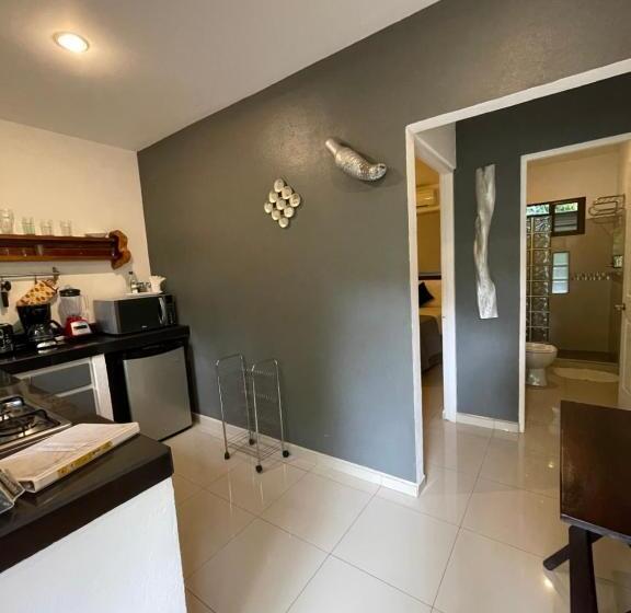 침실 1개 디럭스 아파트, Tamarindo Sunshine