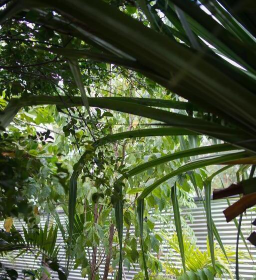 침실 1개 발코니 아파트, Tamarindo Sunshine