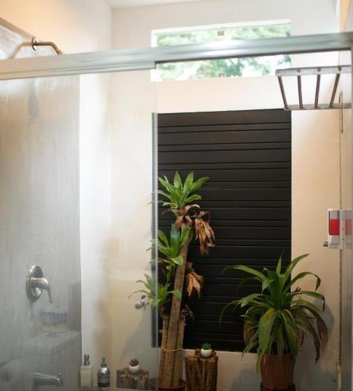 수피리어 스위트, Tamarindo Sunshine