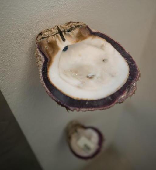 디럭스 스위트 킹 침대, Tamarindo Sunshine