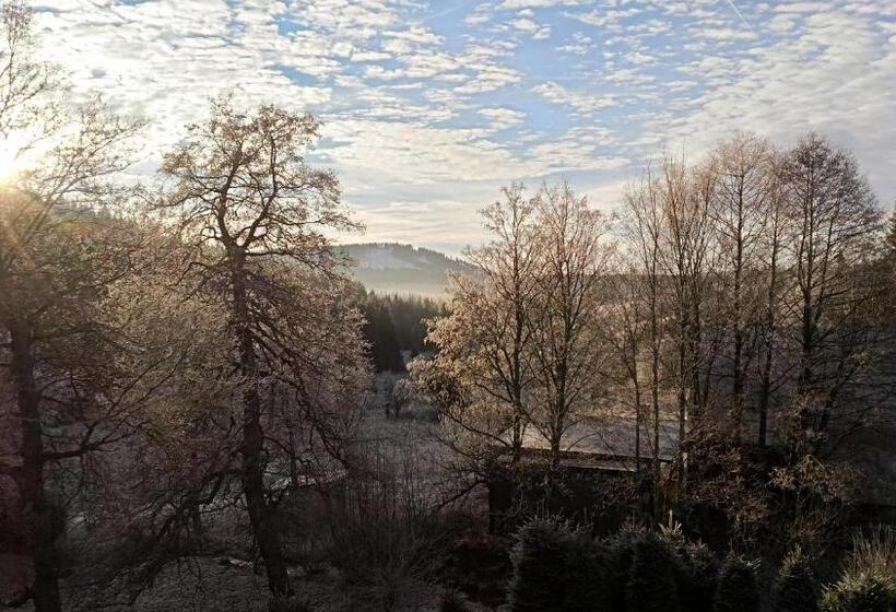 1间卧室的房子, Penzion U Můstku Hřebečná