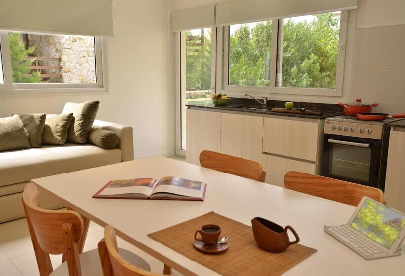 Apartamento 1 Dormitório com Terraço, Farnese Apart & Spa   Farnese Apart Mar