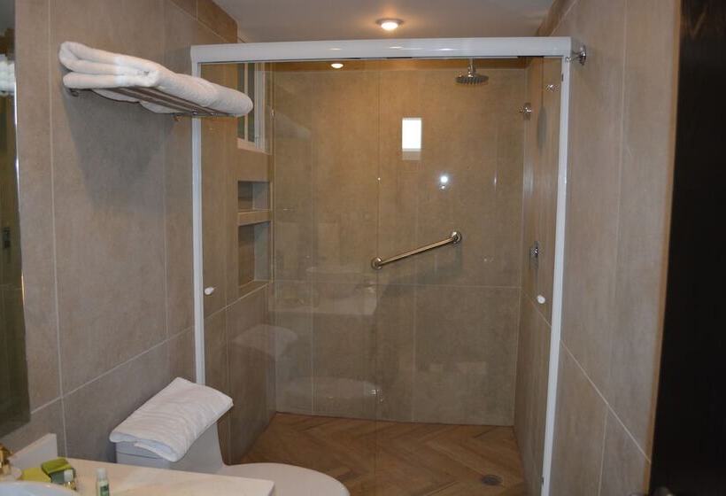 １ベッドルームアパートメント, Grand Chapultepec Residencial
