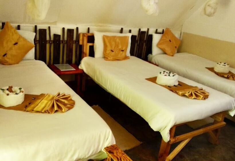 اتاق استاندارد سه نفره, Elephant Trail Guesthouse And Backpackers