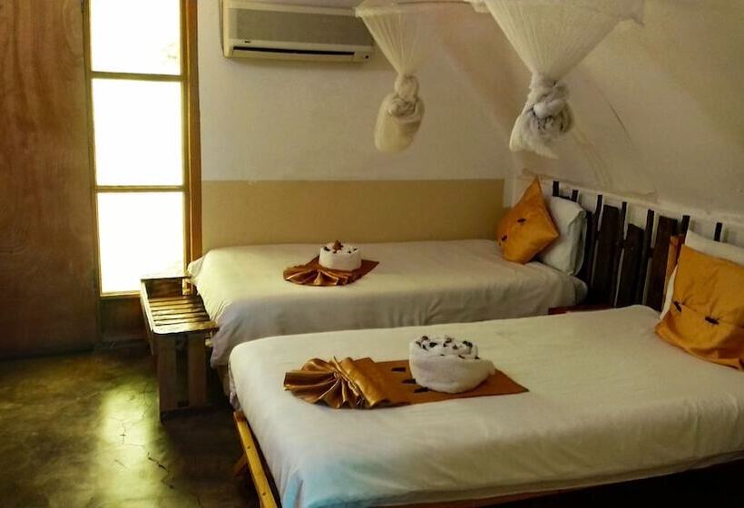 اتاق استاندارد سه نفره, Elephant Trail Guesthouse And Backpackers