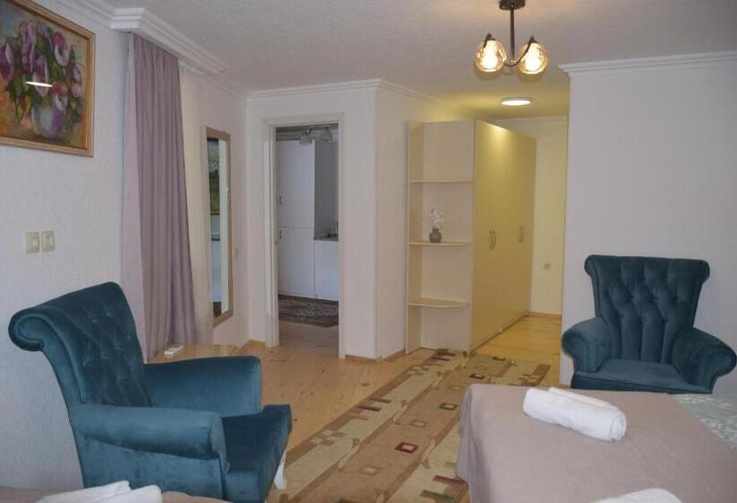 اتاق استاندارد سه نفره, Guest House Ilto