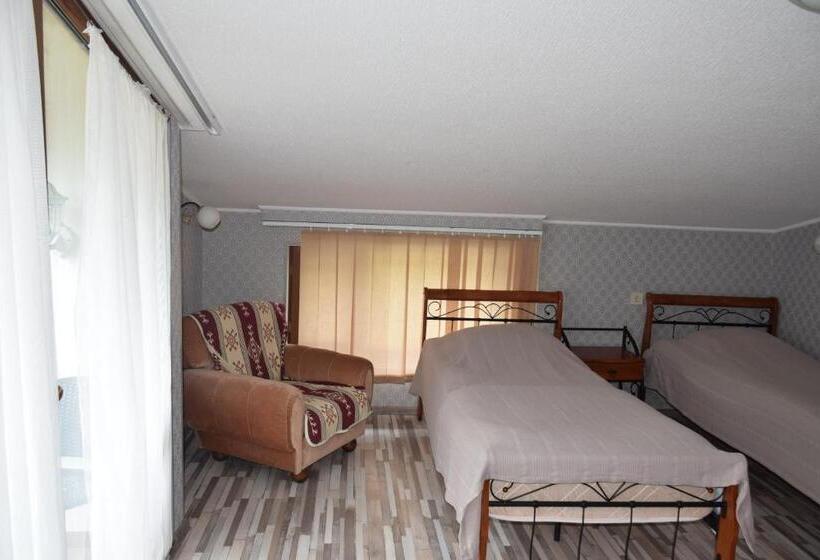 اتاق استاندارد با چشم‌انداز باغ, Guest House Ilto