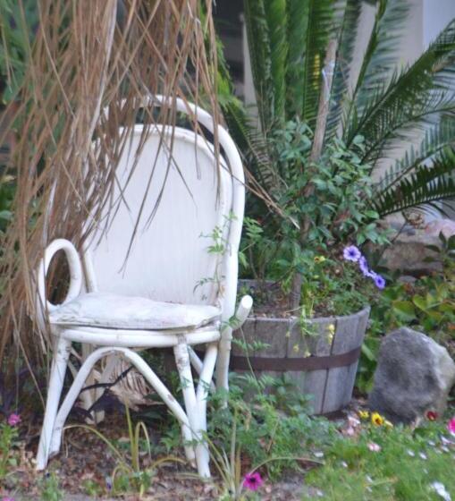 스탠다드 룸 킹사이즈 침대, Afrika Pearl