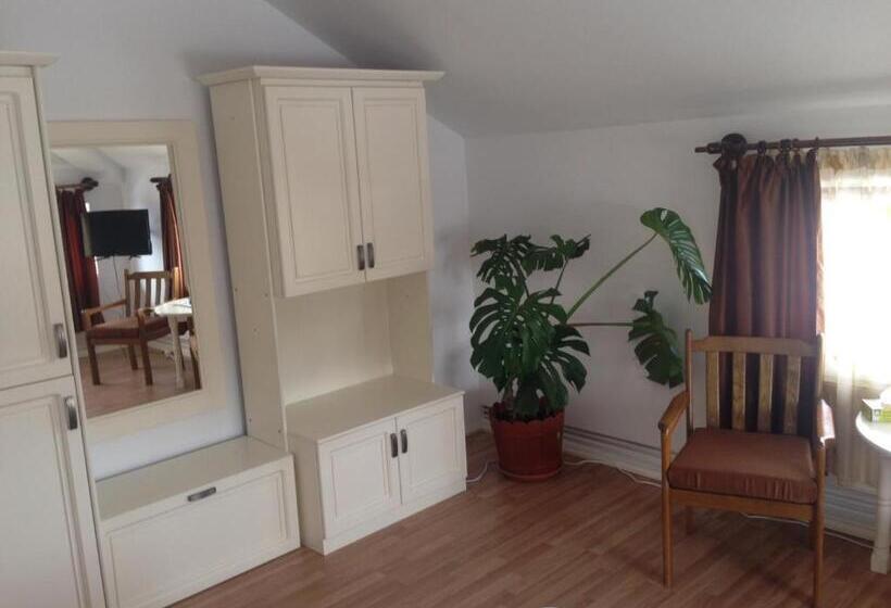 2ベッドスイートルーム, Casa Craiova Nuova