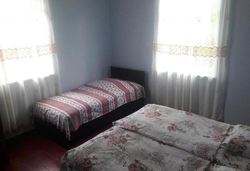اتاق کلاسیک چهارنفره, Joni Guest House