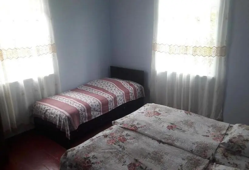 اتاق کلاسیک چهارنفره, Joni Guest House