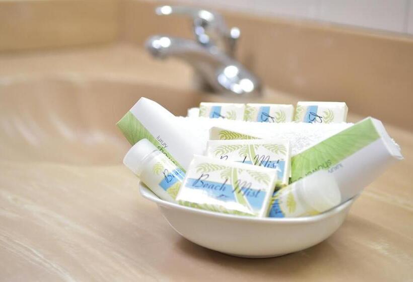 اتاق استاندارد برای معلولان, Hostal Universitario