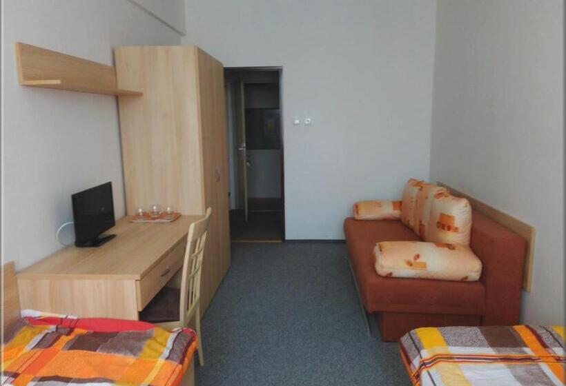 غرفة قياسية, Zimní Stadion Tábor