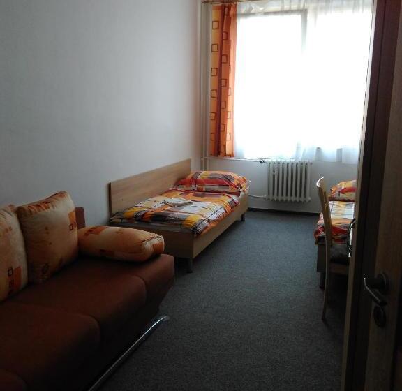 غرفة قياسية, Zimní Stadion Tábor