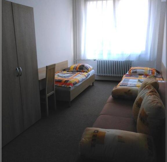 غرفة عائلية, Zimní Stadion Tábor