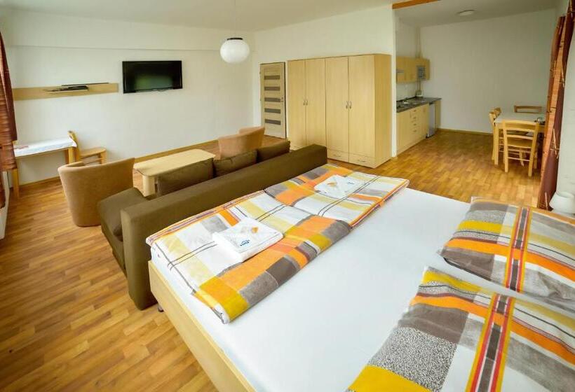 شقة غرفة نوم واحدة مزودة بشُرفة, Zimní Stadion Tábor