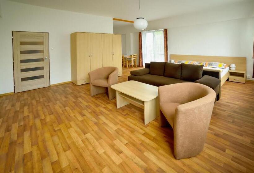 شقة غرفة نوم واحدة مزودة بشُرفة, Zimní Stadion Tábor