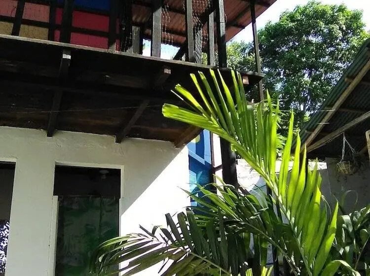 スタンダードルーム, El Hamakero De Conchihostal