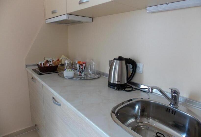 آپارتمان 1 خوابه, Apart Hotel Rosen