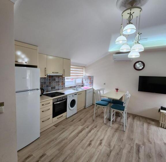 آپارتمان 1 خوابه با بالکن, Esa Suite