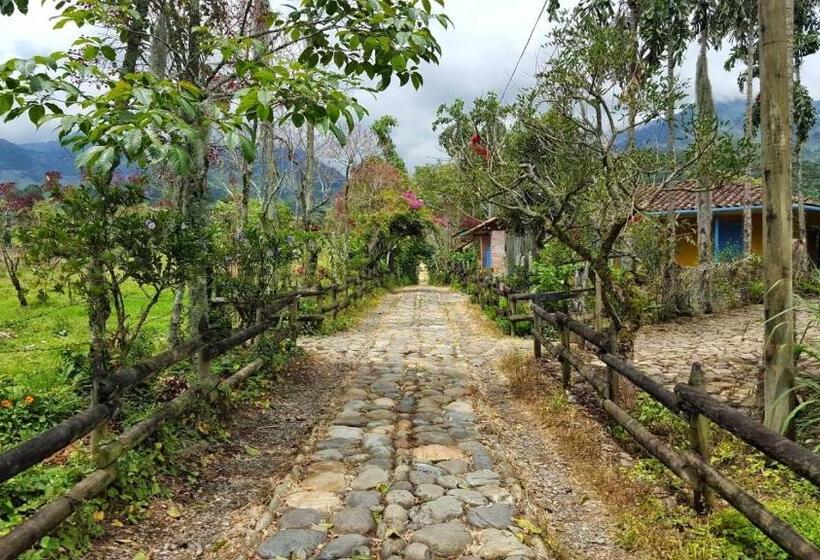 اتاق خانوادگی, Jardín Es Tuyo