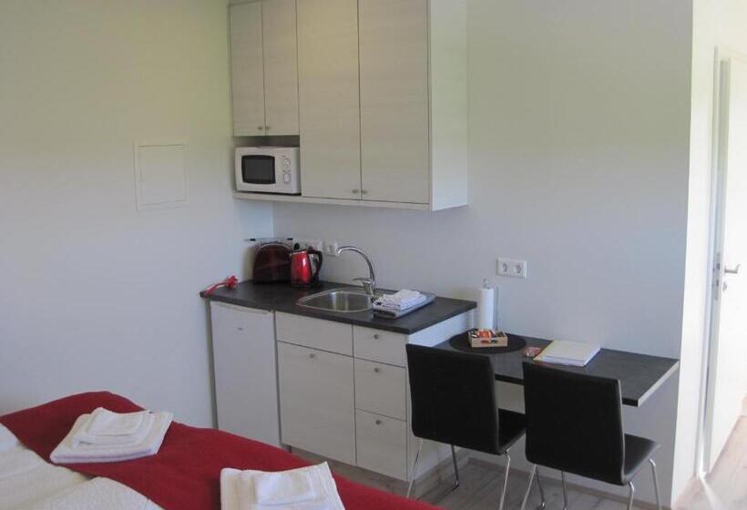 استودیو استاندارد با چشمانداز, Skogar Sunset Guesthouse