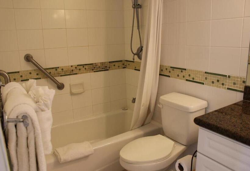 Apartamento 1 Dormitório com Vistas, Ponoaloha