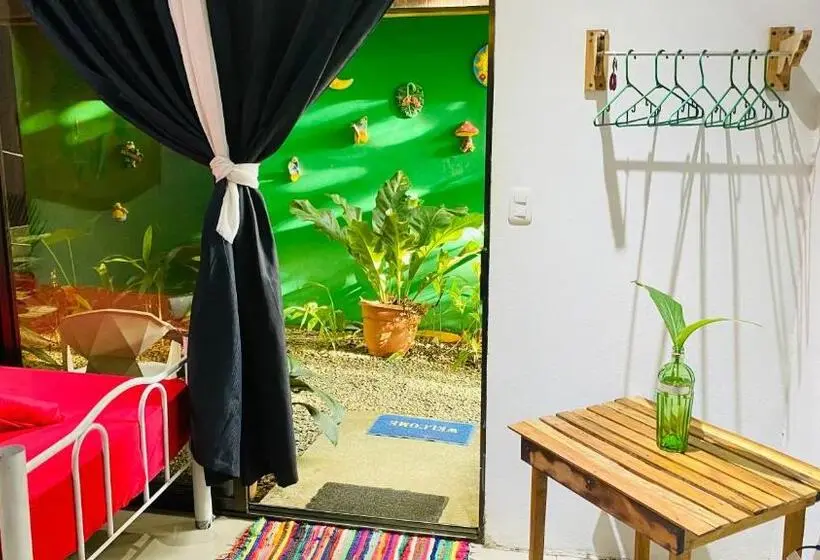 エコノミートリプルルーム, Guest House Pura Vida