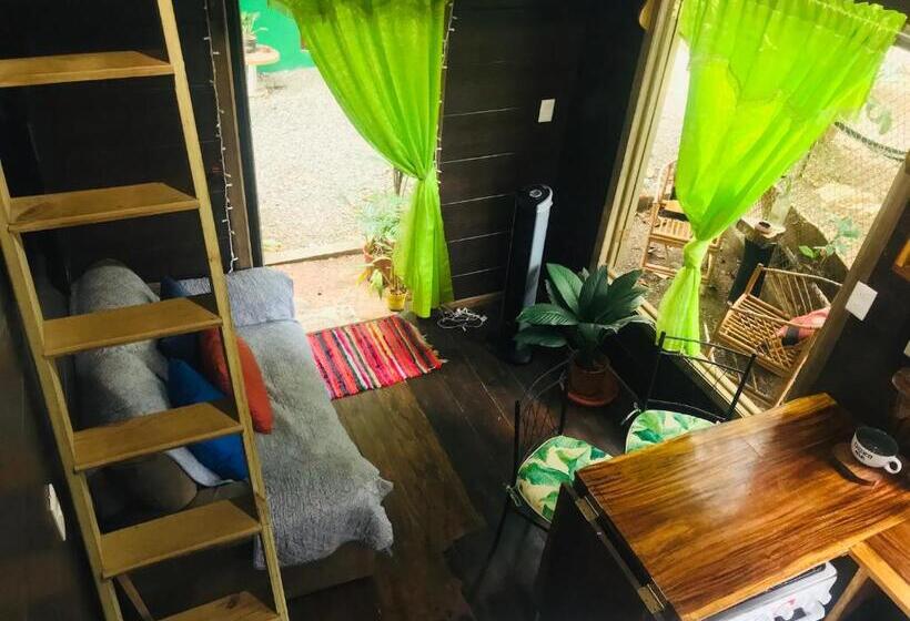 استودیو استاندارد با چشم‌انداز باغ, Guest House Pura Vida