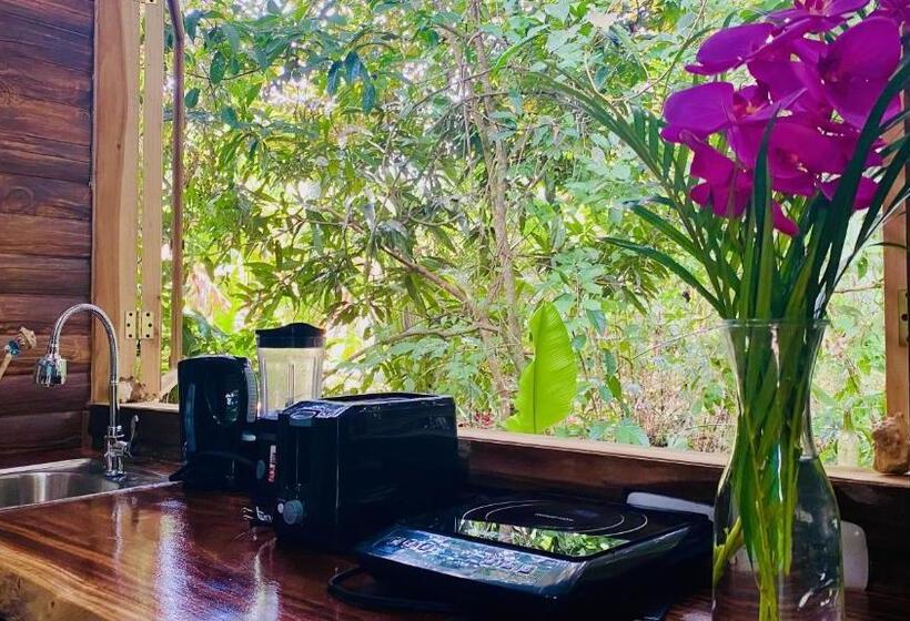 استودیوی لوکس, Guest House Pura Vida