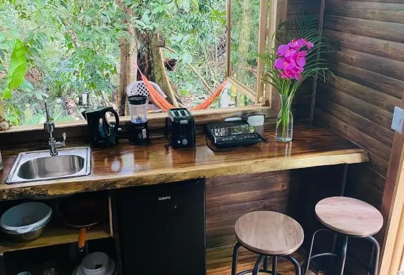 デラックススタジオ, Guest House Pura Vida