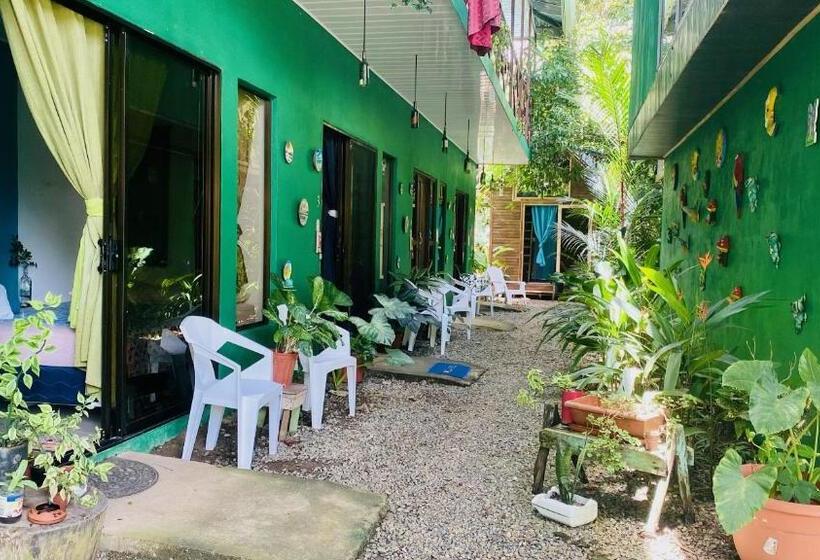 استودیوی لوکس, Guest House Pura Vida