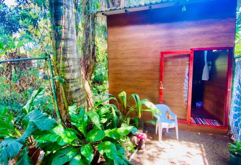 בונגלו סטנדרט עם נוף לגינה, Guest House Pura Vida