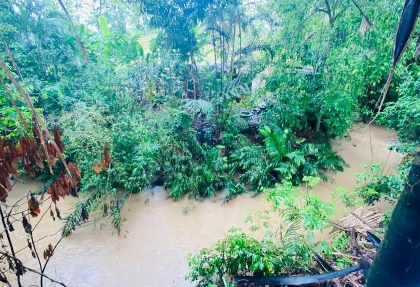 בונגלו סטנדרט עם נוף לגינה, Guest House Pura Vida