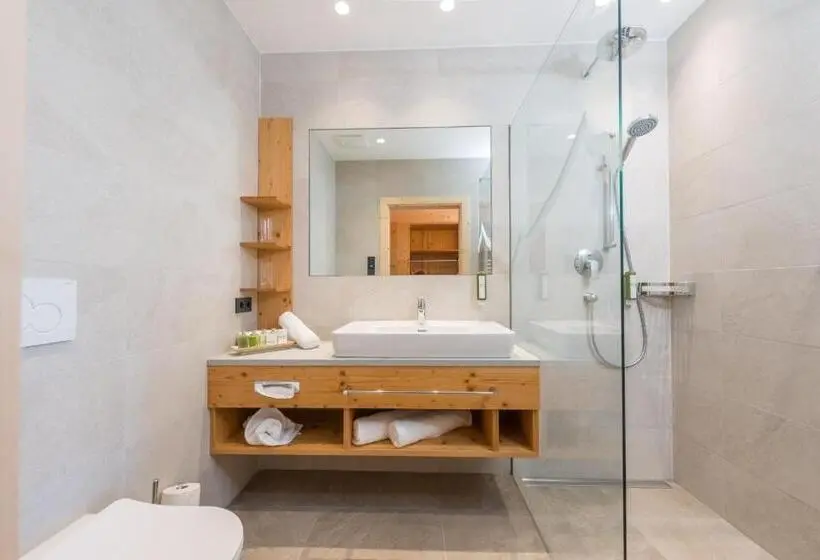 اتاق استاندارد, Rittis Alpin Chalets Dachstein